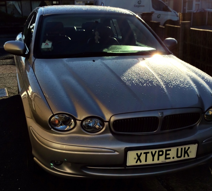 First viewing of the X-Type, January 1st 2017 First viewing of the X-Type, January 1st 2017